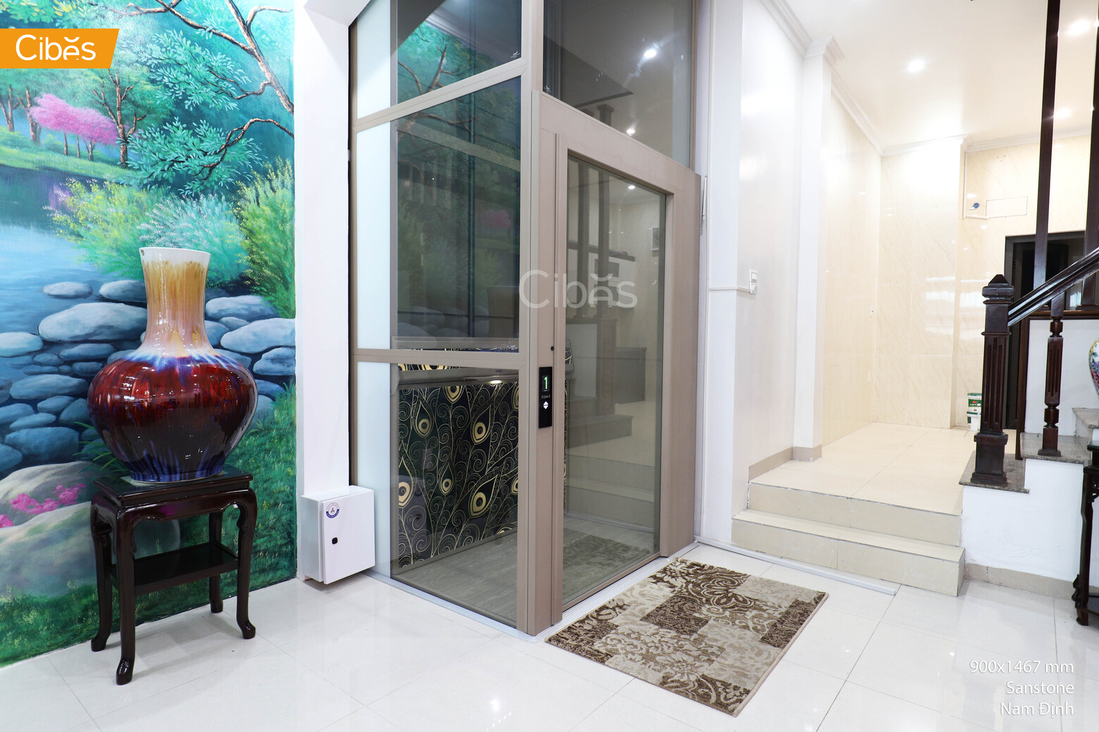 Nam Định - Thang máy Cibes Voyager V80 Aurora hoạ tiết đuôi công độc đáo