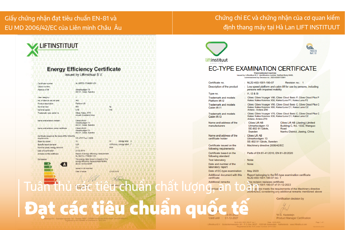 Chứng nhận quốc tế